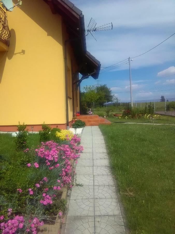 Homestay Helena *